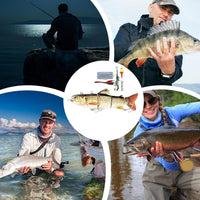 Thumbnail for Animated Lure Animated Fishing Lure Swimming Bait With Hooks Bass Lures Slow Sinking Fishing Lures Available For Freshwater