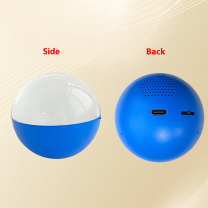 Electronic Ball