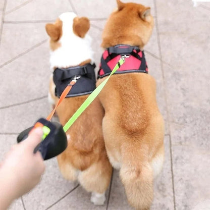 dual retractable dog leash