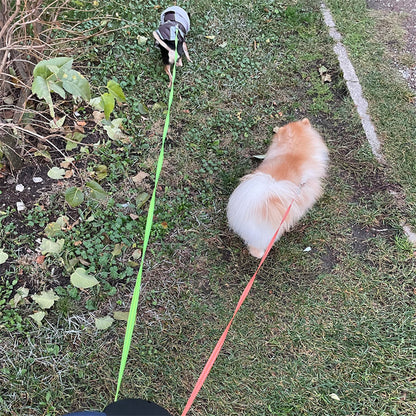 dual retractable dog leash
