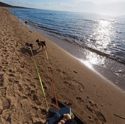 dual retractable dog leash