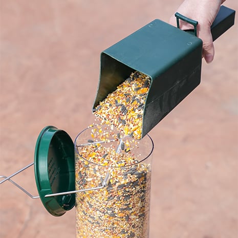 Looking for a squirrel-proof bird feeder that actually works?
