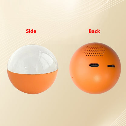 Electronic Ball