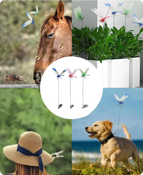 3D Dragonfly Clip