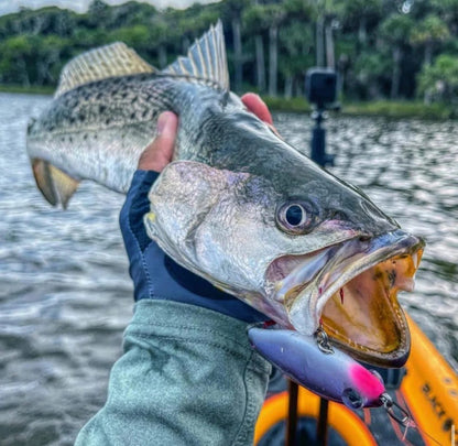 Quick Change Fishing Clip