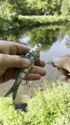 Quick Change Fishing Clip