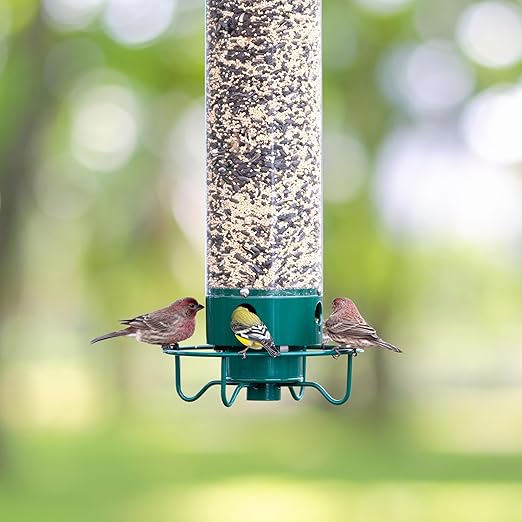 Classic design with 4 feeding ports and 2.4 lb capacity.
